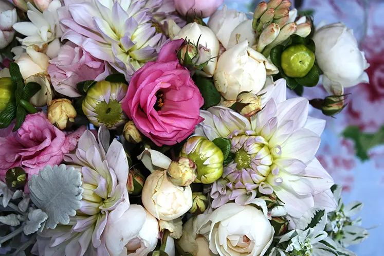 The Language of Flowers The Language of Flowers